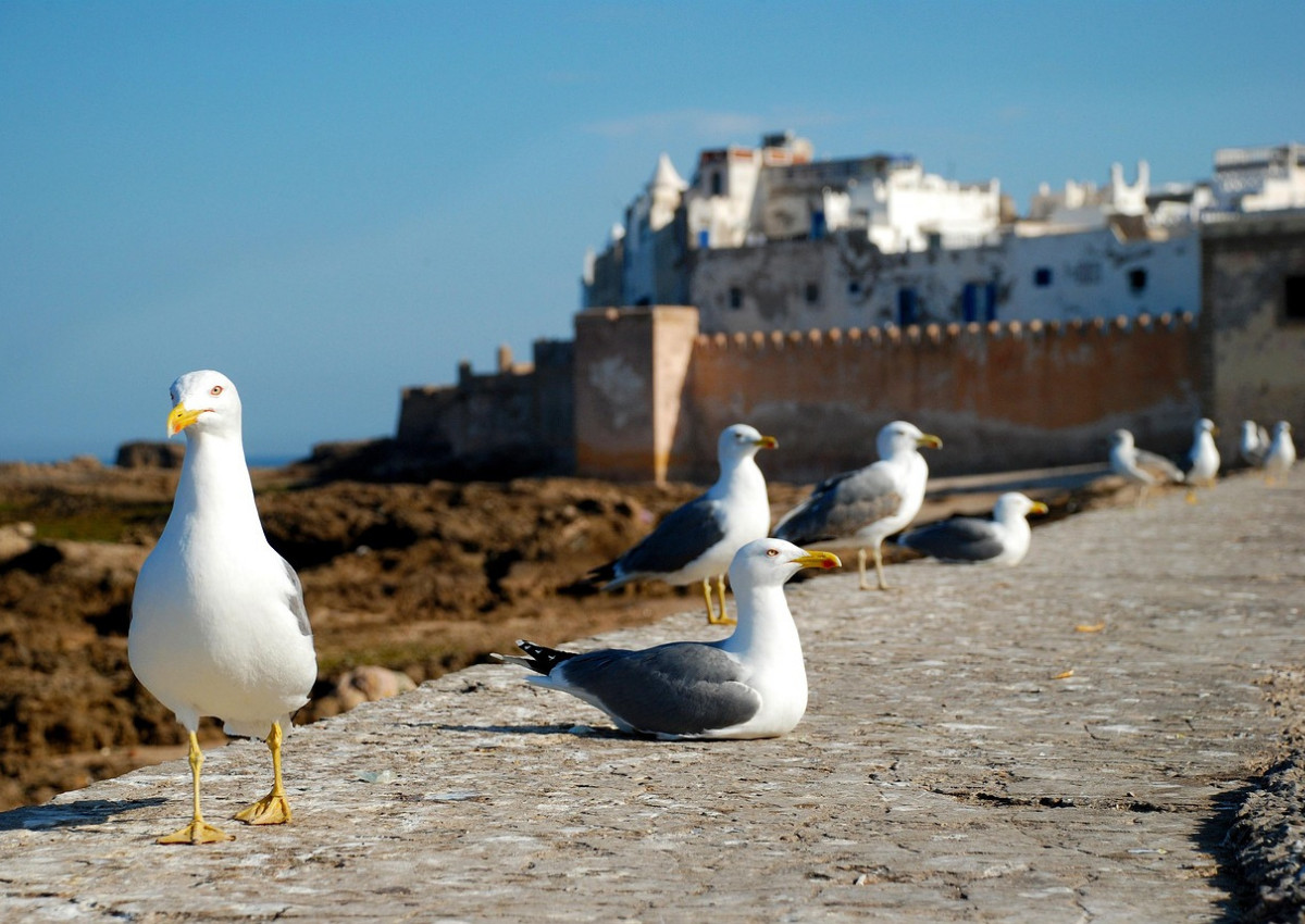 ESSAOUIRA0